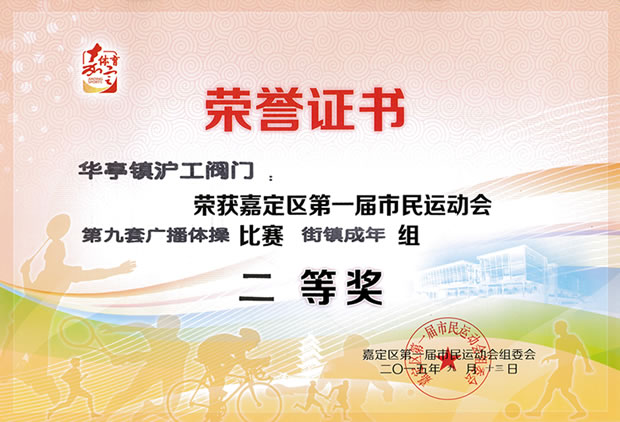 嘉定區(qū)第一屆市民運(yùn)動(dòng)會(huì)第九套廣播體操比賽二等獎(jiǎng)榮譽(yù)證書(shū)