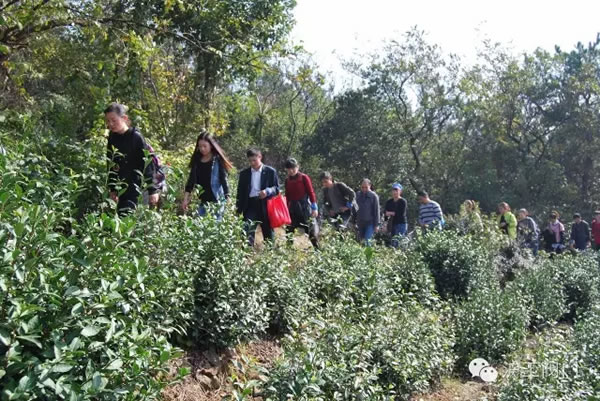 ϺyTS2016＾ͽл(dng) D5