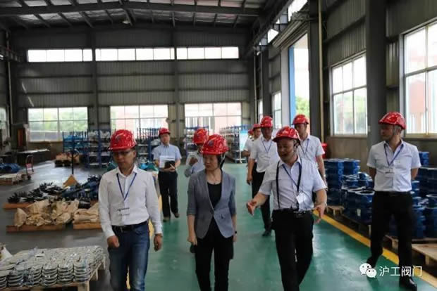 嘉定區(qū)副區(qū)長陸祖芳等領(lǐng)導(dǎo)一行蒞臨我公司視察指導(dǎo)工作(圖8)